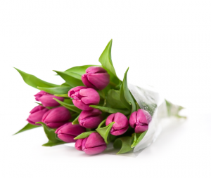 Funeral Direction and Services
